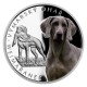 2022 - Stříbrná mince Výmarský ohař - Psí plemena
