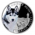 2023 - Stříbrná mince Sibiřský husky - Psí plemena