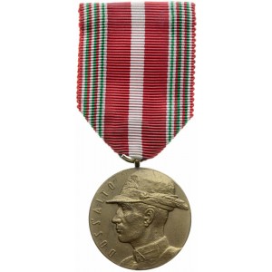 Pamětní medaile 33. pěšího pluku "Doss Alto"