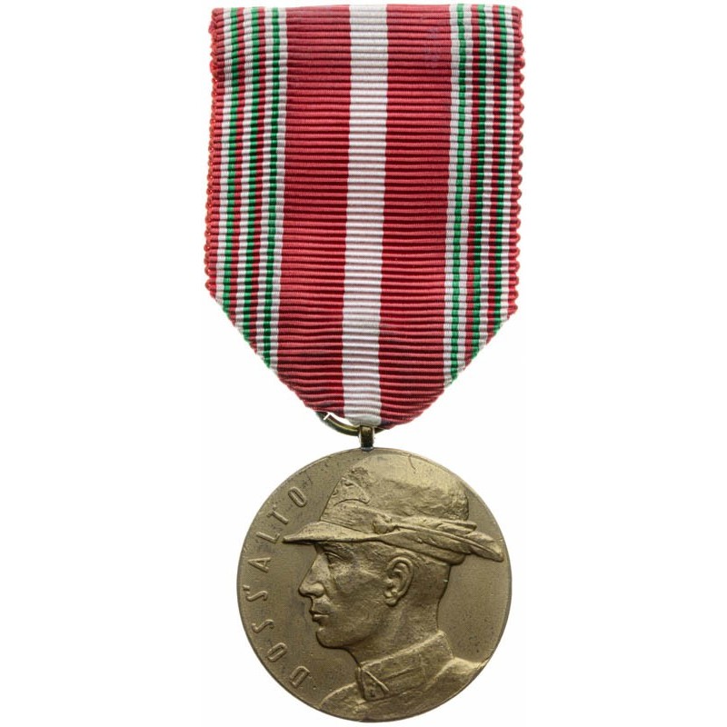 Pamětní medaile 33. pěšího pluku "Doss Alto"