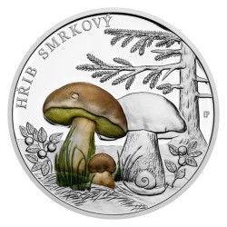 Stříbrná mince Houby - Hřib smrkový kolor proof