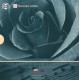 Sada oběžných mincí Slovenské republiky 2007 - Gejza Dusík