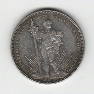 Střelby Basel - 1879