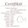 2007 - Zlatá medaile Jaromír Jágr, Au 1/4 Oz