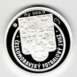 2004 - Stříbrná medaile ME ve fotbale