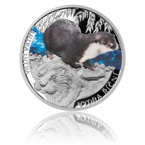 2013 - Stříbrná mince 1 NZD Vydra říční kolorováno 