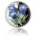 2013 - Stříbrná mince 1 NZD Hořec Clusiův kolorováno