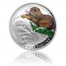 2014 - Stříbrná mince 1 NZD Systel obecný kolorováno 